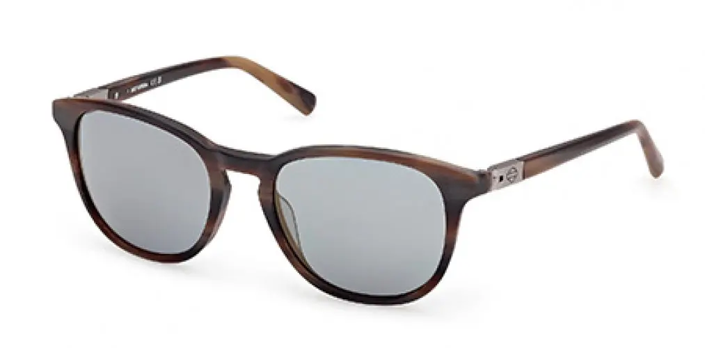 Harley-Davidson 00019 Sunglasses 1