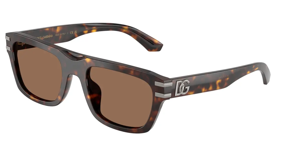 Dolce & Gabbana 4496 Sunglasses 1