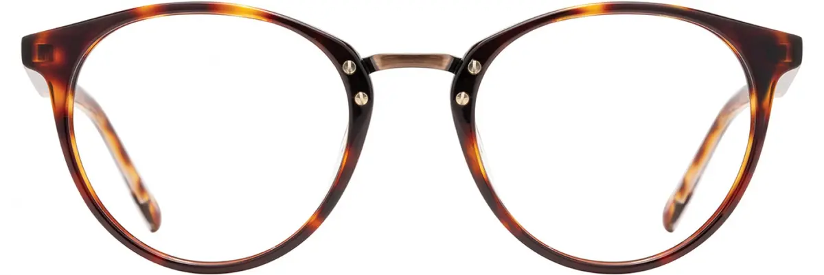 Scott Harris Shvin67 Eyeglasses 1