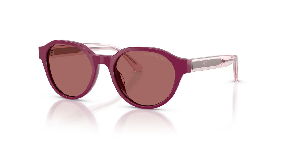 Emporio Armani Kids 4008U Sunglasses 1