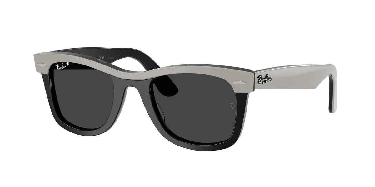Ray-Ban Wayfarer 2240 Sunglasses 1