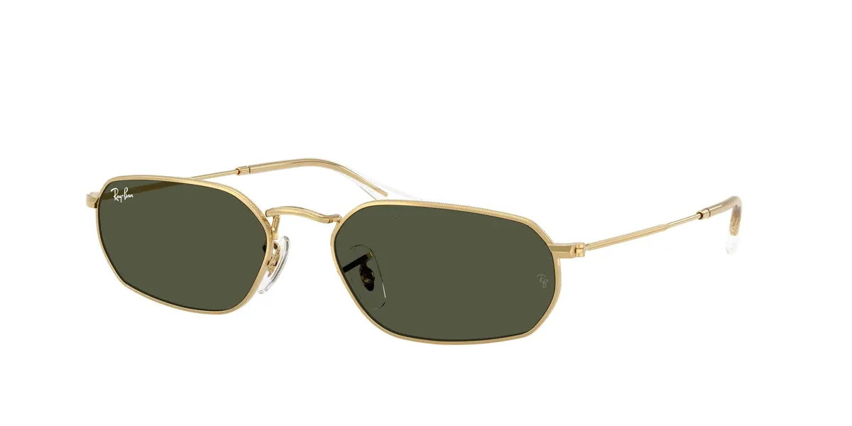 Ray-Ban 3947 Sunglasses 1
