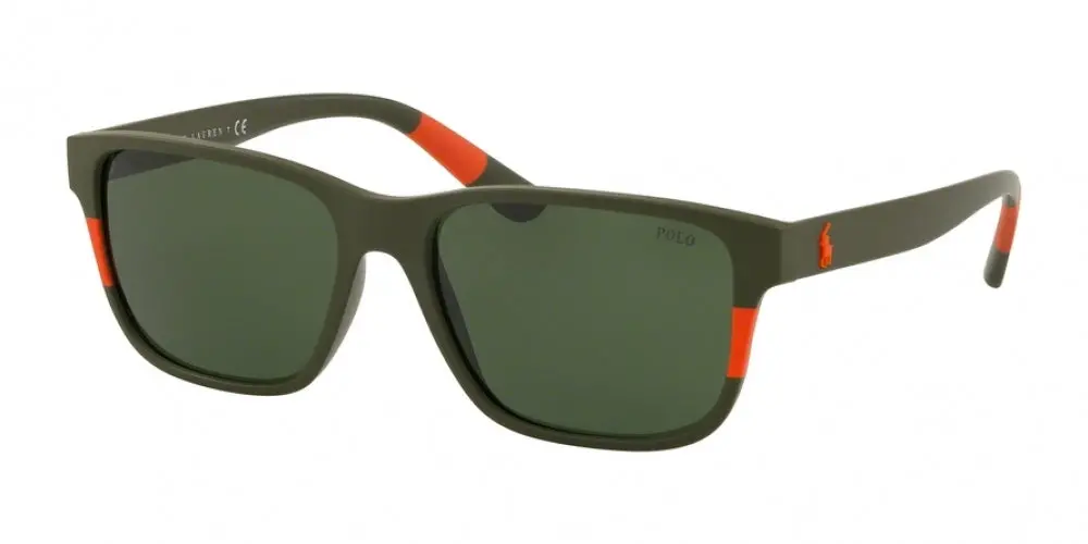 Polo 4137 Sunglasses 1