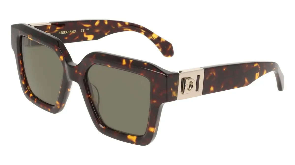 Salvatore Ferragamo Sf2084s Sunglasses 1