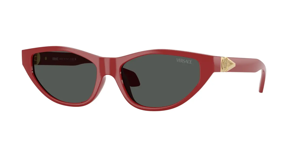 Versace 4491U Sunglasses 1