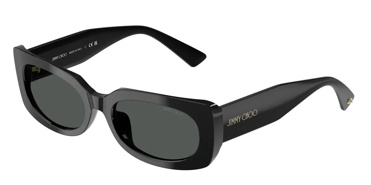 Jimmy Choo 5029U Sunglasses 1