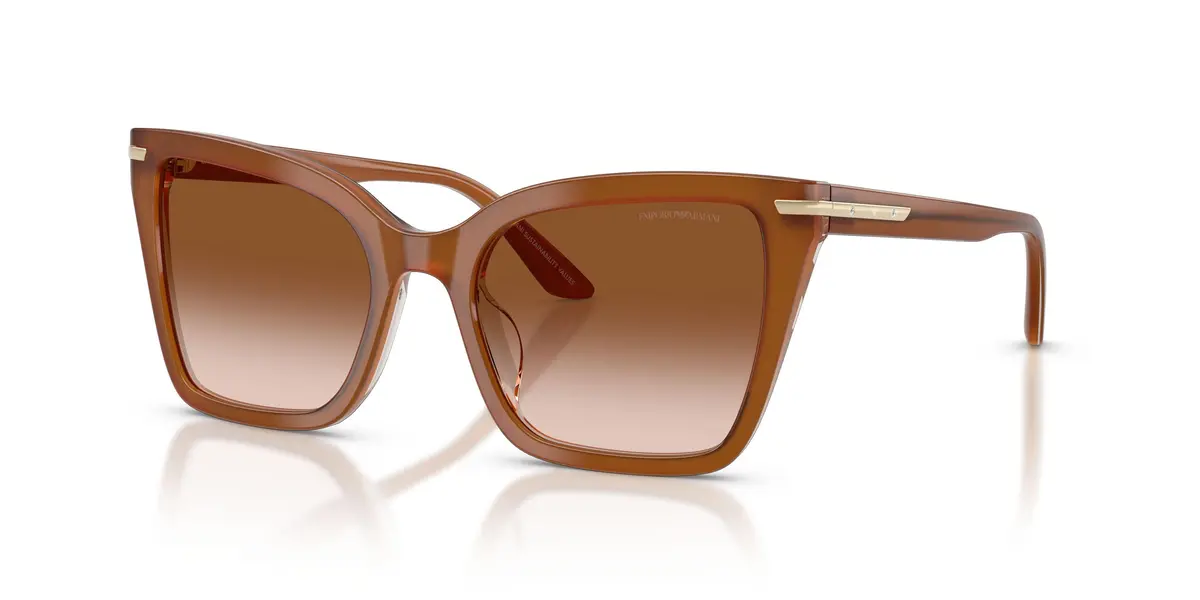 Emporio Armani 4273Bu Sunglasses 4