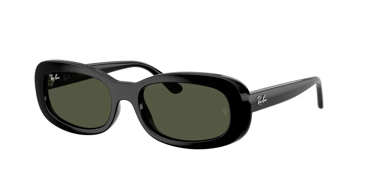 Ray-Ban 2221 Sunglasses 1