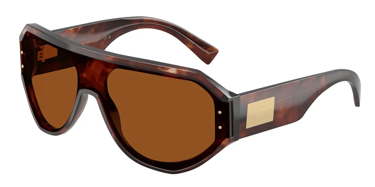 Dolce & Gabbana 4481 Sunglasses 1