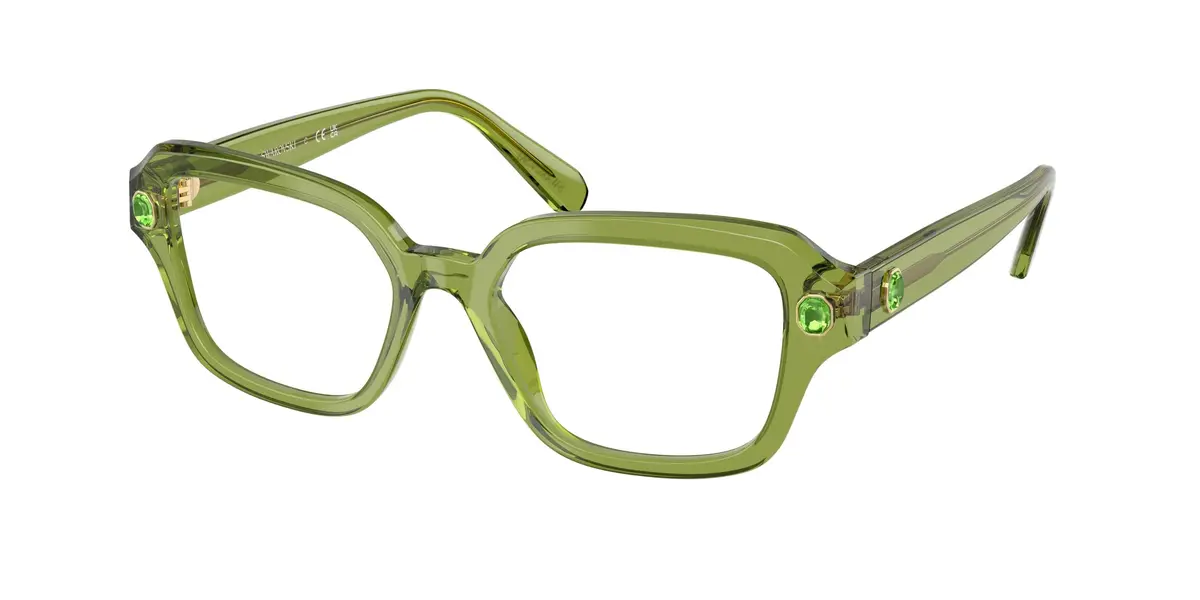 Swarovski 2039 Eyeglasses 1