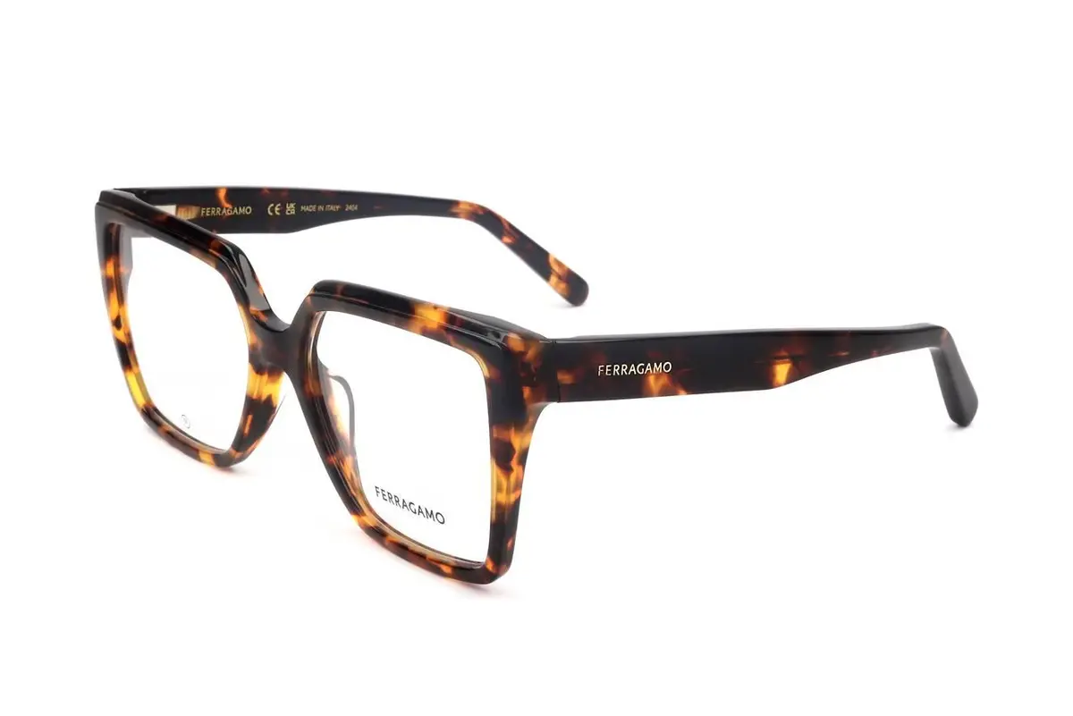 Ferragamo Sf2950n Eyeglasses 1