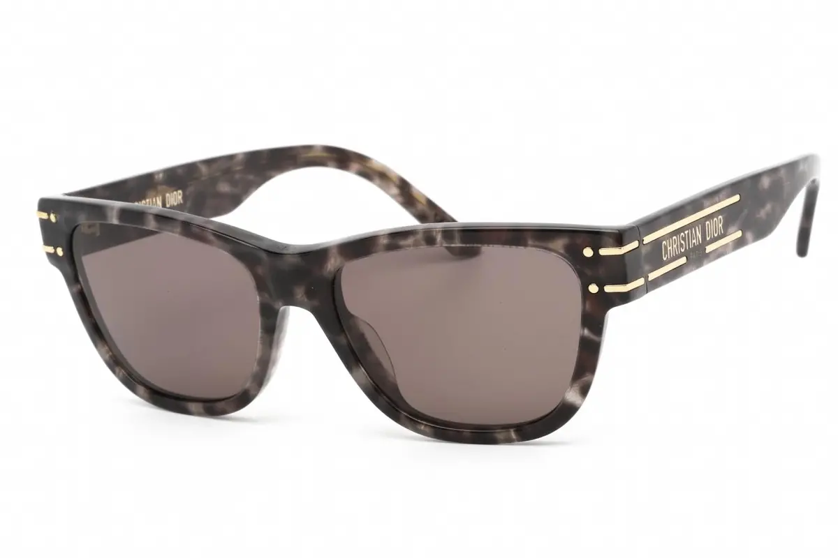 Dior Diorsignatures6u Sunglasses 1
