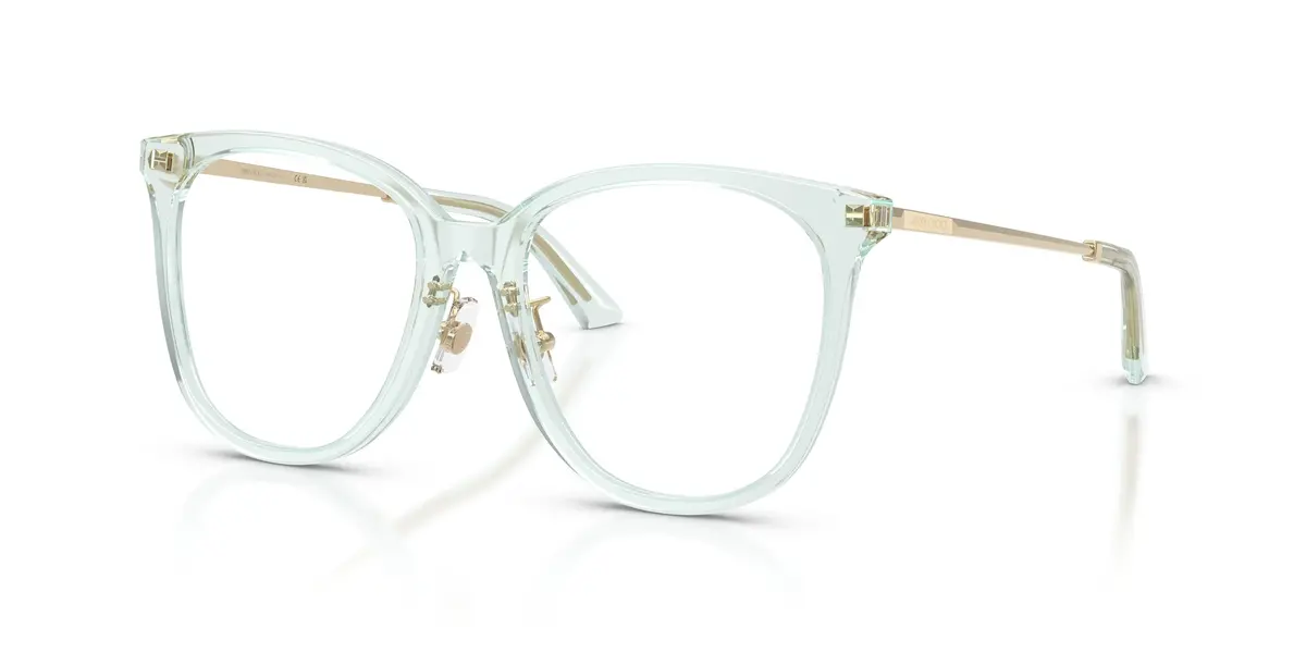 Jimmy Choo 3060F Eyeglasses 1