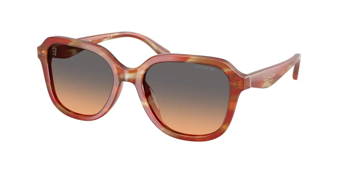 Coach Cby87 8437U Sunglasses 1