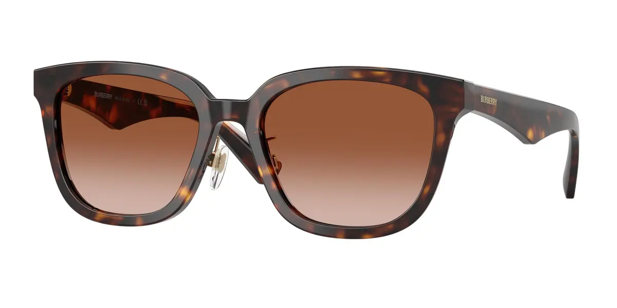 Burberry 4446D Sunglasses 1