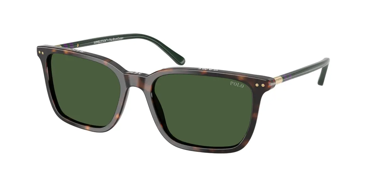 Polo 4226 Sunglasses 1