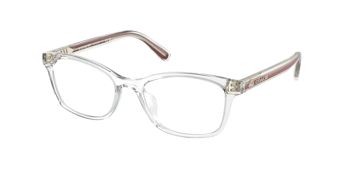 Coach 6216F Eyeglasses 1