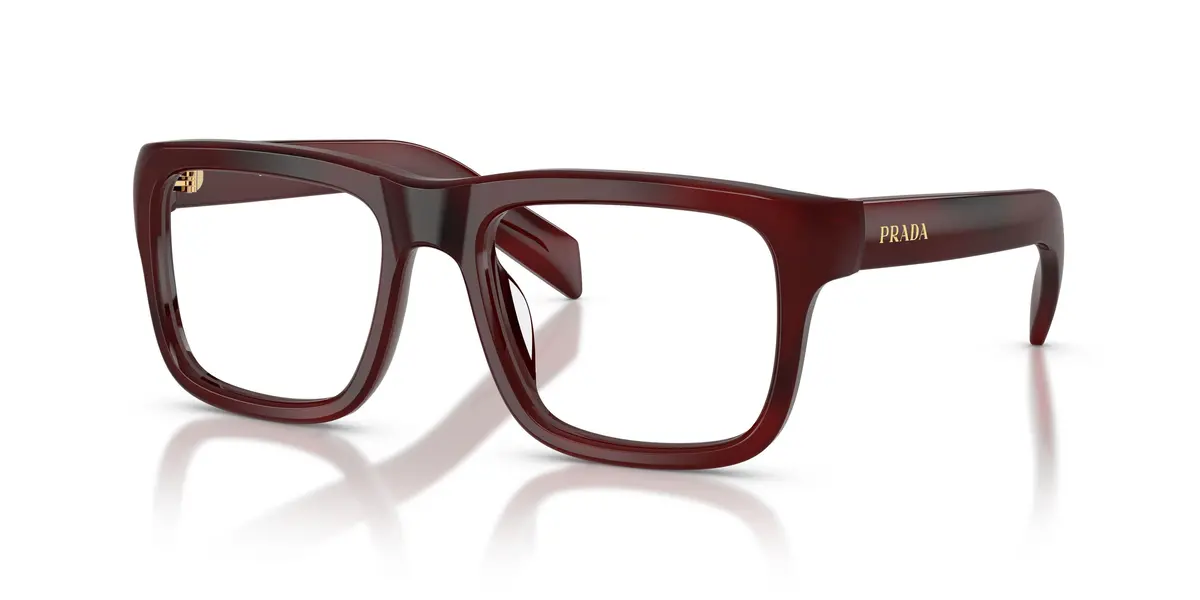 Prada D02v Eyeglasses 1