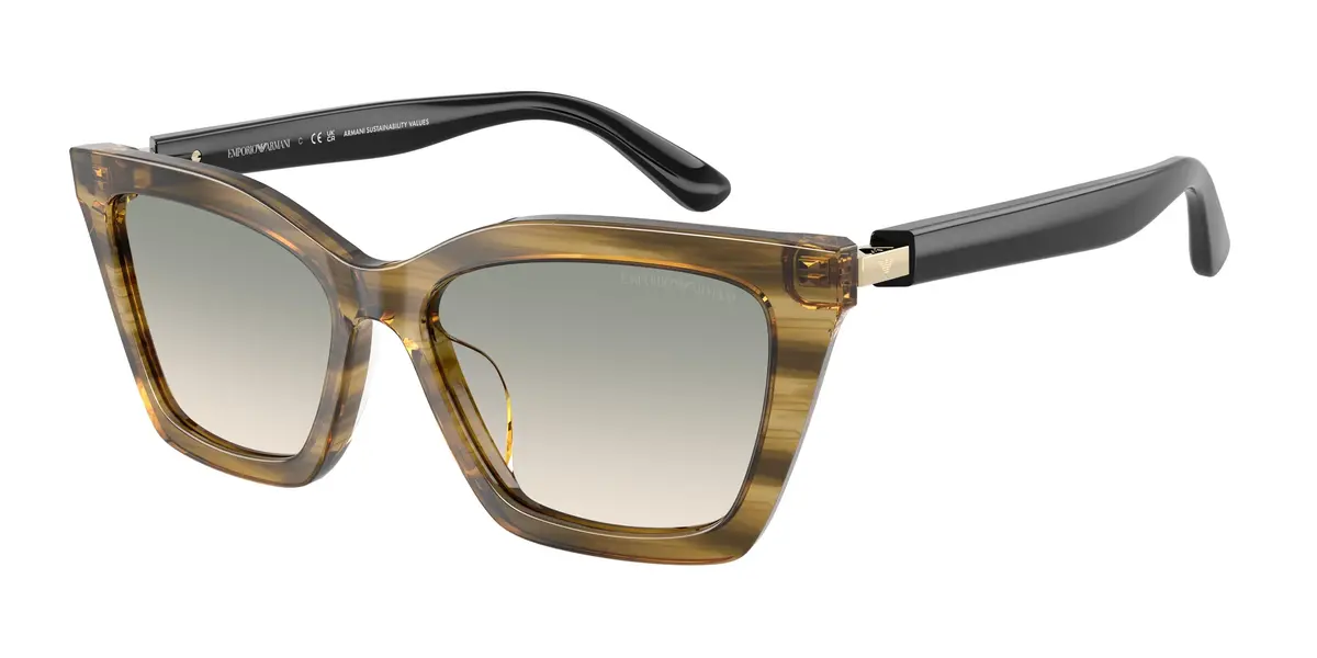 Emporio Armani 4250U Sunglasses 1