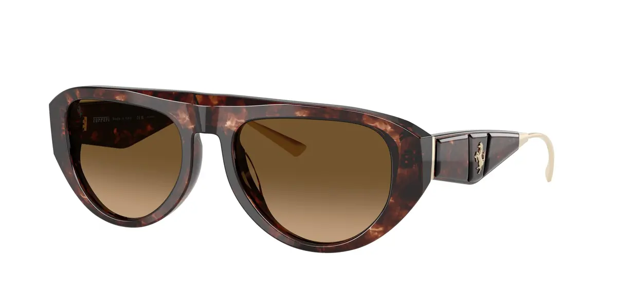 Ferrari 2012U Sunglasses 1