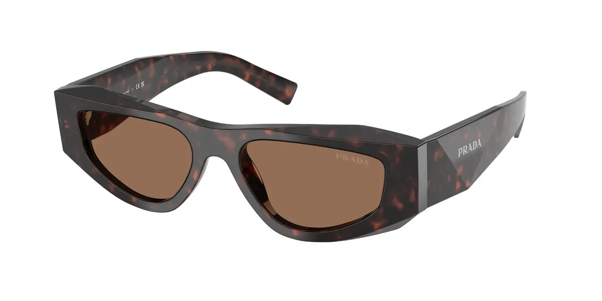 Prada B19sf Sunglasses 1