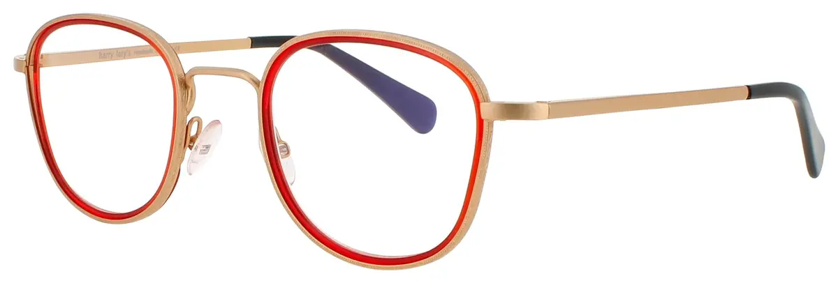 Harry Lary Roasty Eyeglasses 1