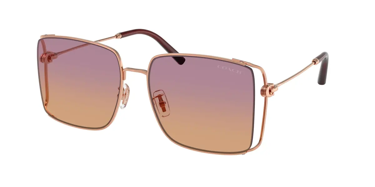 Coach Cw429 7174D Sunglasses 1