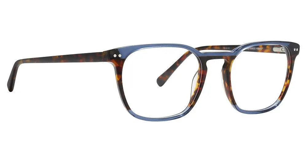 Life Is Good Lgbryan Eyeglasses 1