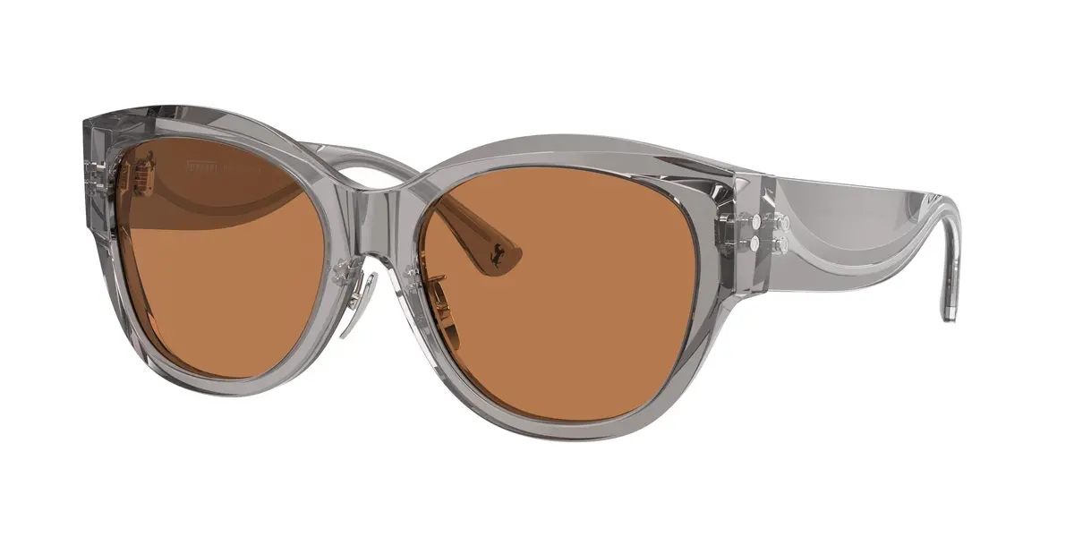 Ferrari 2008F Sunglasses 1