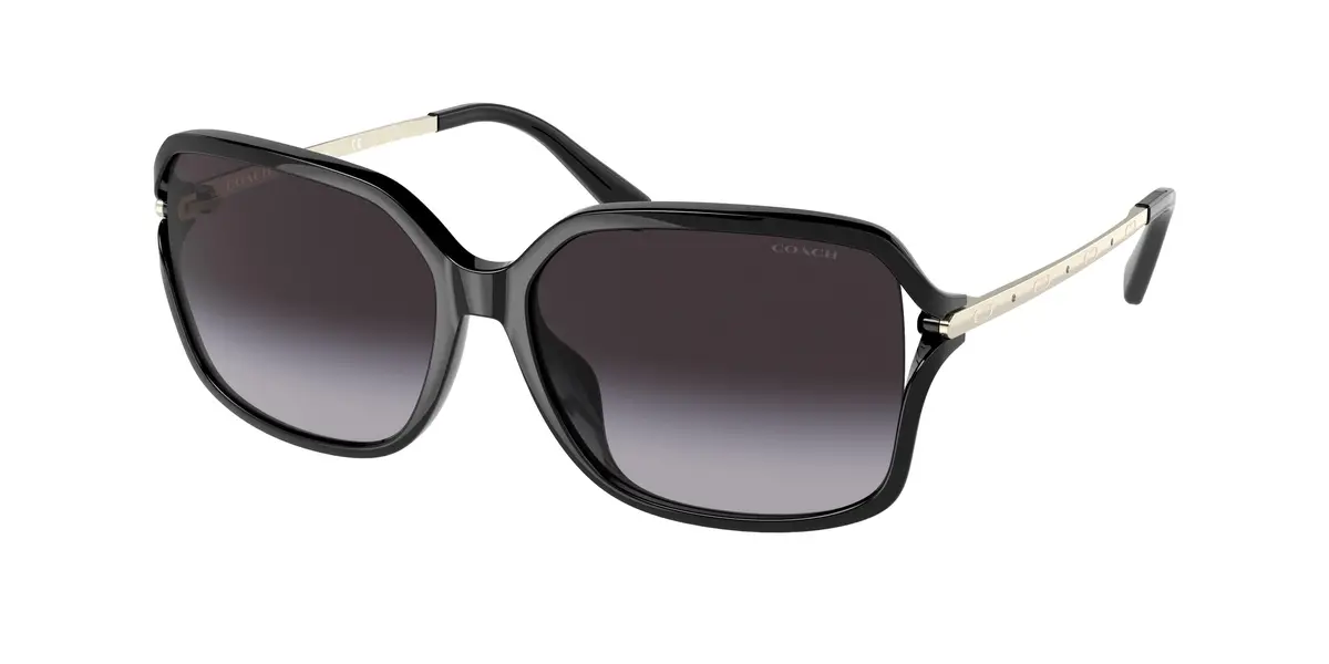 Coach C6190 8327Bu Sunglasses 1