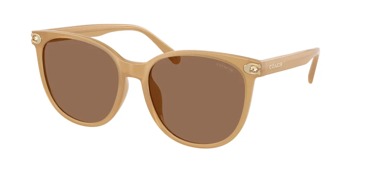 Coach Cw428 8414Bd Sunglasses 1