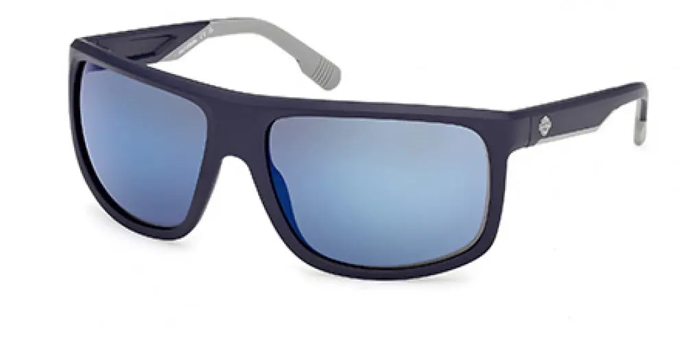Harley-Davidson 00029 Sunglasses 1