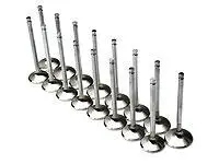 Brian Crower Toyota 2Jzgte/Lexus 2Jzge 33.6Mm Intake Valves 1